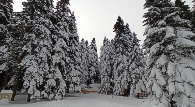 İşte Uludağ'da son durum! Kar kalınlığı...