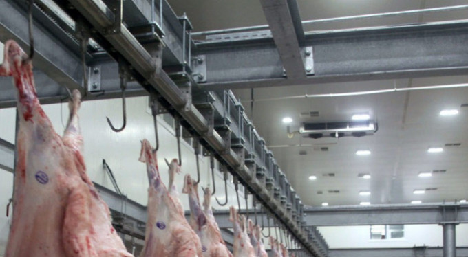 Bursa'da şarbon paniği!