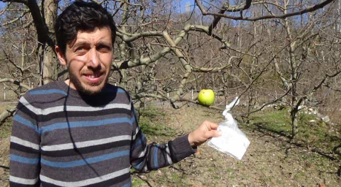 Hamile eşi aş erince bakın ne yaptı!