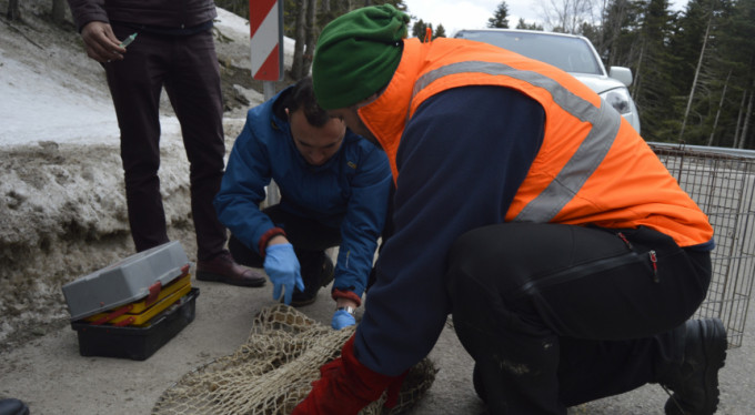 Uludağ'da panik anları!