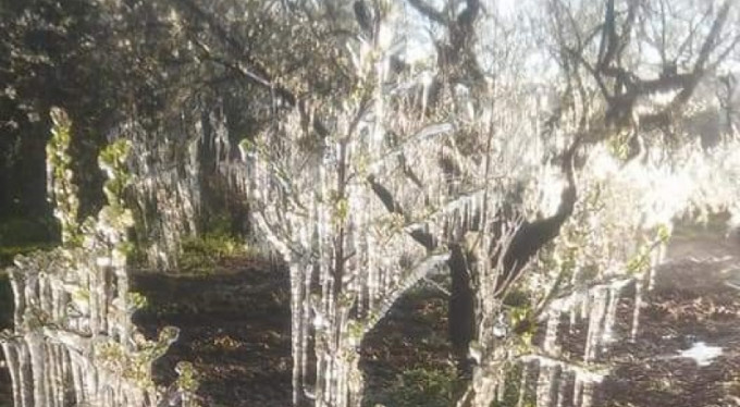 Bursalı çiftçi şimdi yandı