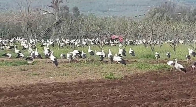 Bursa'da ilginç görüntüler!