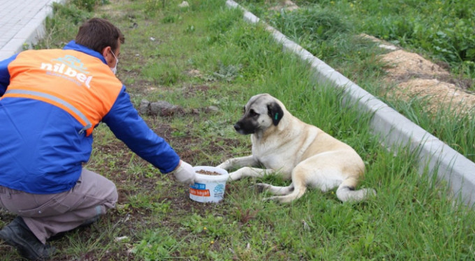 Nilüfer'de can dostları unutulmuyor