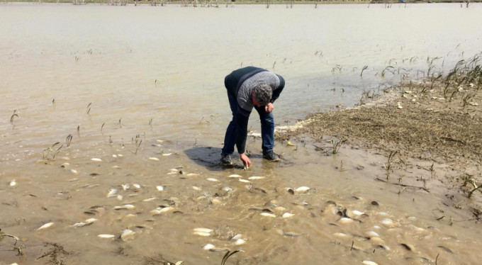 Bursa'da korkunç manzara!