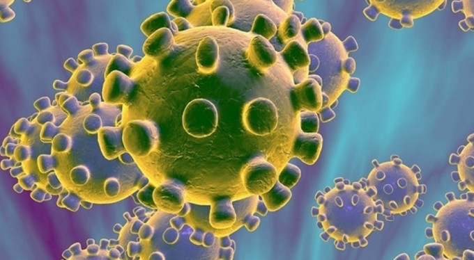 Çin'de yeni virüs! Hanta virüsü nedir?