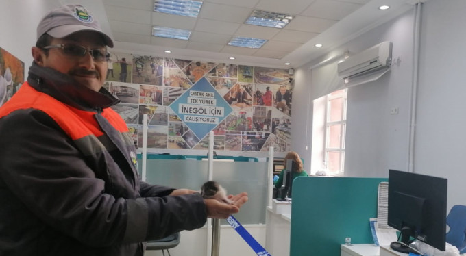 Korona virüsü sokak hayvanlarını da vurdu!