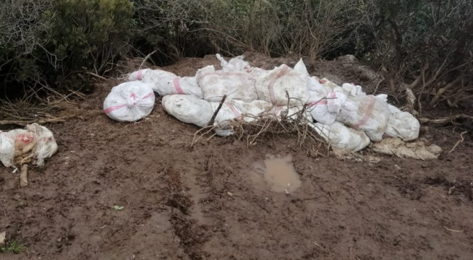 Bursa'da korkunç kare! 400 tavuğu...