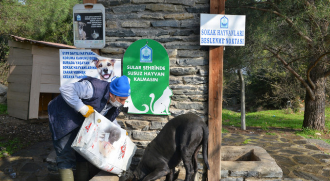 Bursa'da sokak hayvanlarına korona desteği