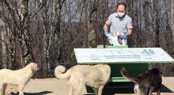 Bursa'da sokak hayvanları sahipsiz kalmadı!