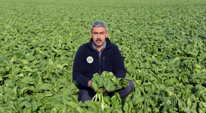 Üretim tam gaz, ama üretici dertli