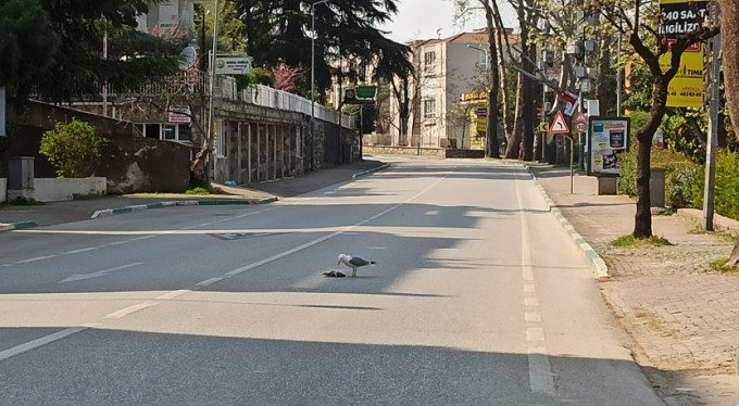 Bursa caddeleri onlara kaldı