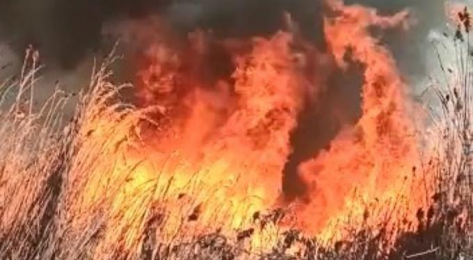Bursa'da korkutan yangın!