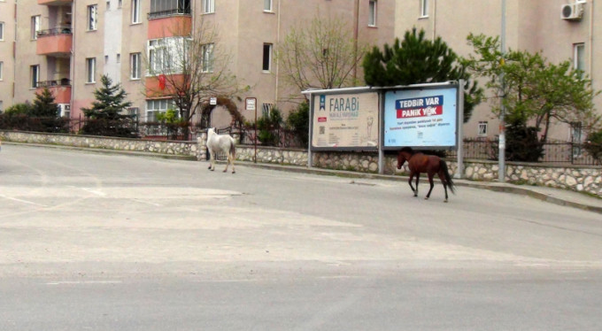 Bursa'da sokak ve caddeler onlara kaldı