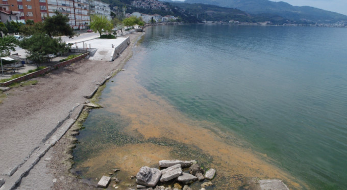 Gemlik Körfezi'nde şaşkına çeviren görüntü!