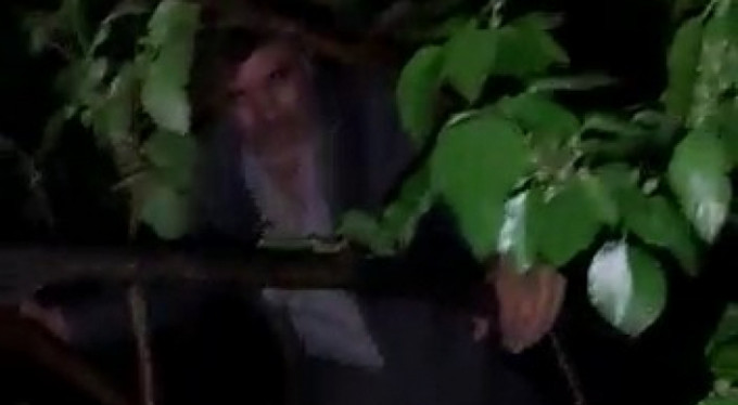 Kumar oynarken yakalandı, sonra bakın ne yaptı!