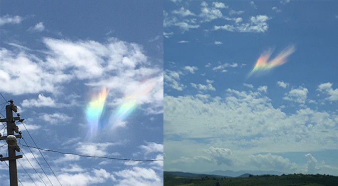 Aniden ortaya çıktı, görenleri şaşırttı
