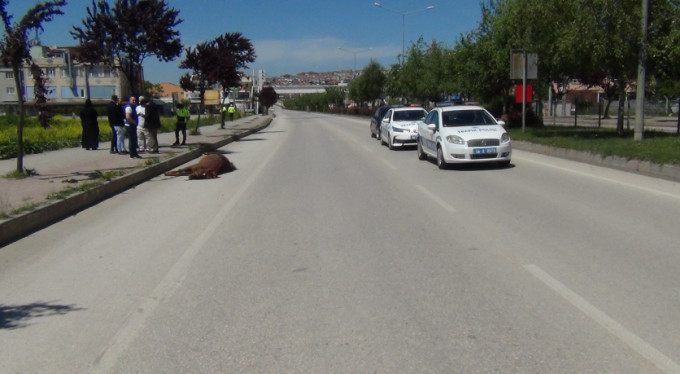 Bursa'da yasak günü inanılmaz kaza!