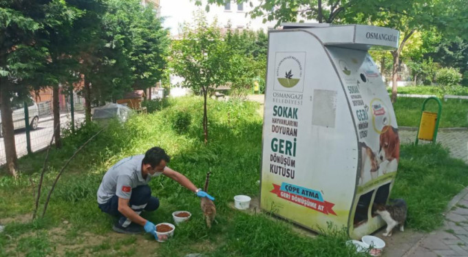 Osmangazi'de sokak hayvanları sahipsiz kalmadı