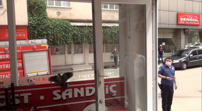 Bursa'da kuş seferberliği!