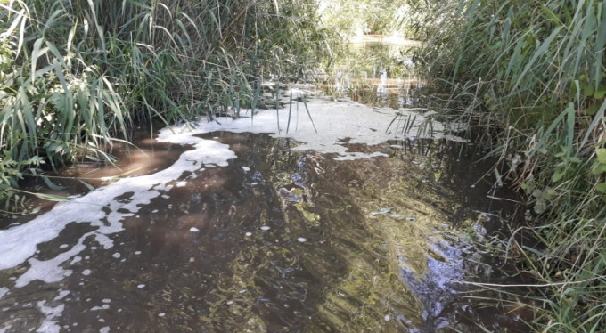 Bursa'da çevre katliamı!