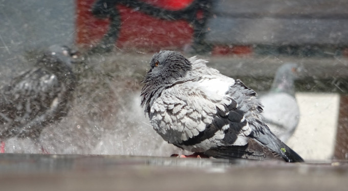 Bursa'da meydanlar boş kalınca...
