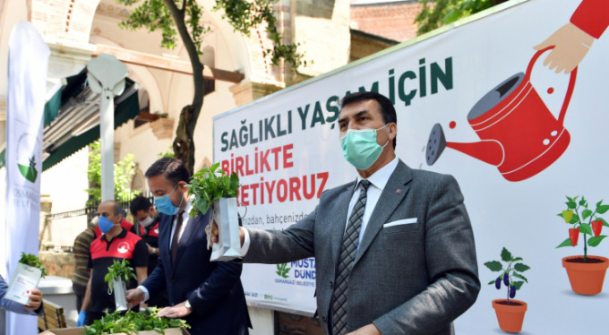 Dündar'dan yerli ve milli sebze fidesi