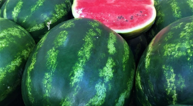 Karpuzda o devir artık sona erdi!