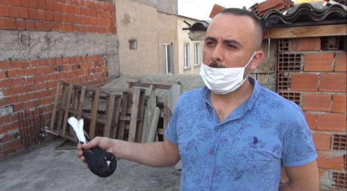 Bursa'da motosiklet fiyatına güvercin!