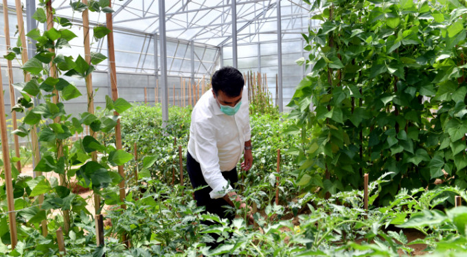 Osmangazi'den milli tarım hamlesi