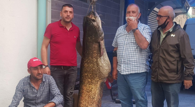 Bursa'da çıkarıldı! Görenler şoke oldu