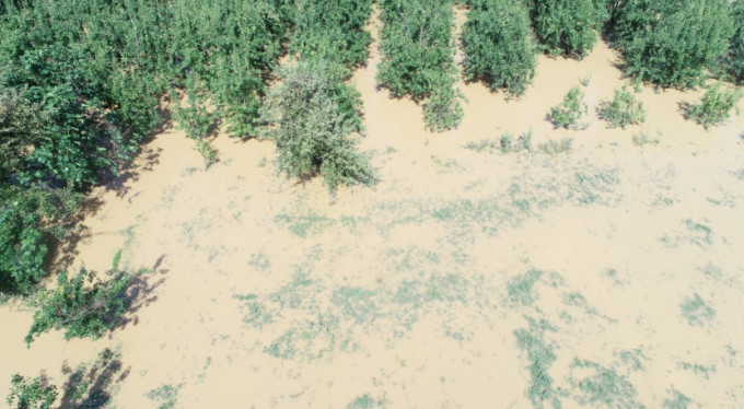 Bursa'da zarar büyük!