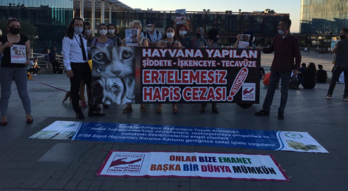 Bursalı hayvanseverlerden çağrı