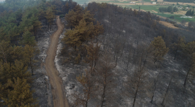 Yangının boyutu gün ağarınca ortaya çıktı!