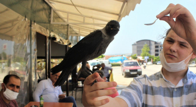 Hayatını kurtardı, en yakın dostu oldu