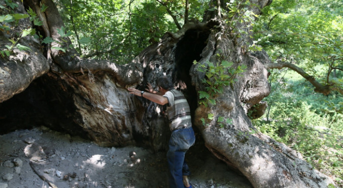 Bursa'da defineci skandalı!