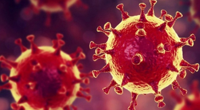 Korona virüsle ilgili endişelendiren haber!