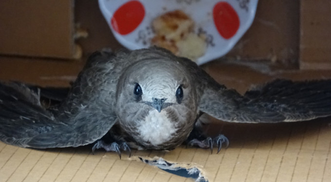 Bursa'da hayrete düşüren olay!