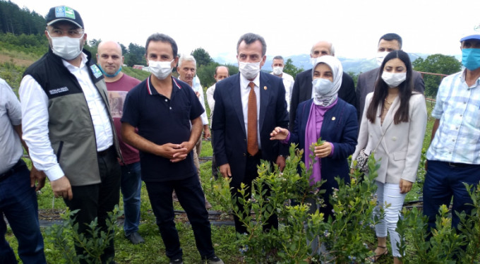 Toprak Büyükşehir'le bereketleniyor