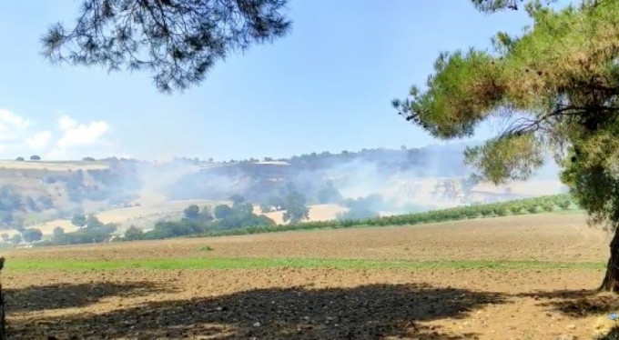 Çanakkale'de orman yangını!