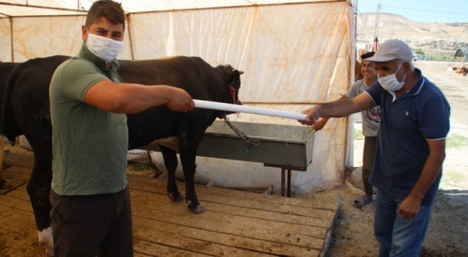 İşte kurban pazarlarının yeni trendi!