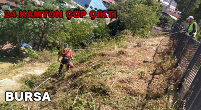 Bursa'nın yamaçlarında, temizlik zamanı