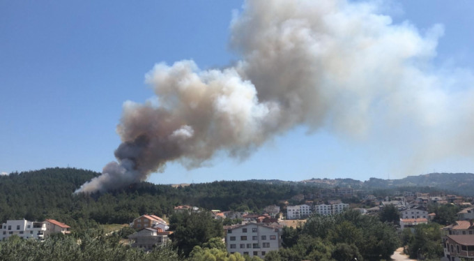 Bursa'da orman yangını!