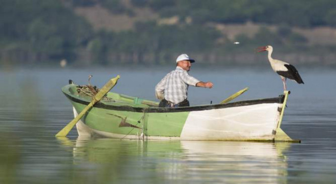 Hepsi gitti bir tek o kaldı
