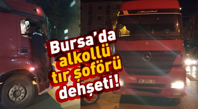 TIR şoförü dehşeti yaşattı