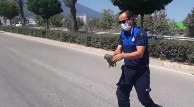 Bursa'da güzel hareketler