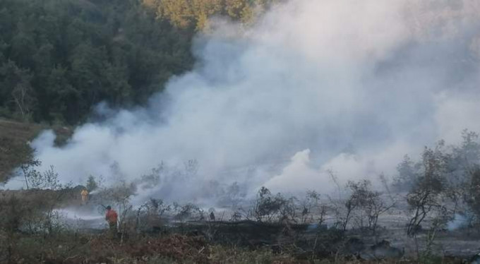 Ormanı bakın kim yakmış?