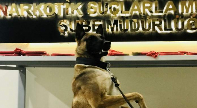 Fırtına'nın gurur pozu...Bakın neden