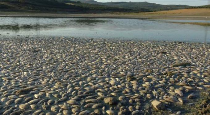 Çevre felaketi büyüdü