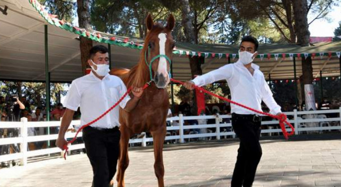 Bursa'da nefes kesen ihale...Fiyatı  dudak uçuklattı