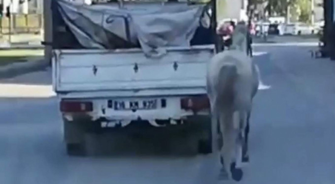 Bursa'da yürek acıtan görüntü